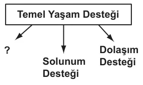 3. sorunun görseli