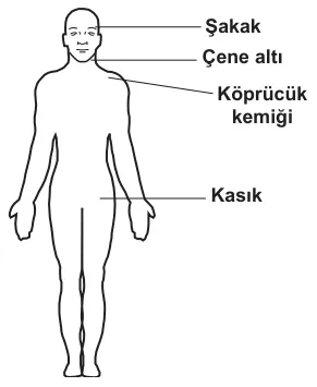 7. sorunun görseli