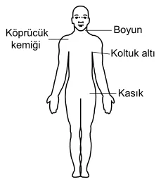 6. sorunun görseli