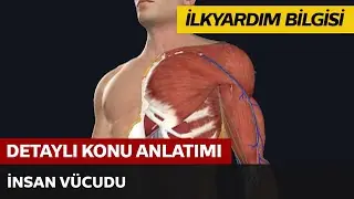 İlkyardımın Tanımı ve Önemi