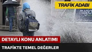 Adap ve Trafik